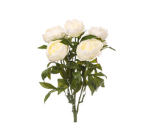 PEONY BUSH X 7 WHITE
