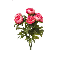 PEONY BUSH X 7 MAUVE
