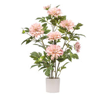 POTTED DAHLIA PLANT H 80 CM LIGHT PINK