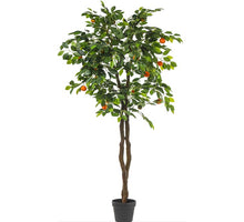 POTTED CLEMENTINE TREE H 180 CM GREEN