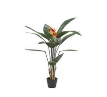 POTTED STRELITZIA PLANT H 120 CM