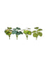 Plant 23cm groen 4 assortie x7 leaves