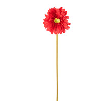 Gerbera Stem Red D11 H60 CM