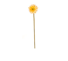 GERBERA STEM CREAM YELLOW D11 H60 CM