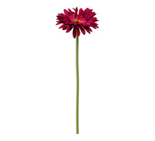 Single Gerbera 55cm beauty