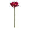 Single Gerbera 55cm beauty