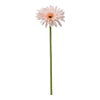 Single Gerbera 55cm lichtroze