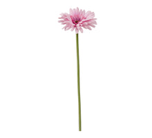 Single Gerbera 55cm roze