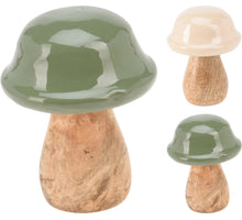 PADDENSTOEL MANGOHOUT D7 H10CM 2 ASSORTIE GROEN/BEIGE