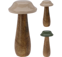 PADDENSTOEL MANGOHOUT D10 H20CM 2 ASSORTIE GROEN/BEIGE