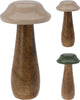 PADDENSTOEL MANGOHOUT D10 H20CM 2 ASSORTIE GROEN/BEIGE