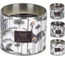 KAARS IN ZINK POT ''TROPICAL'' 10CM 3 ASSORTIE