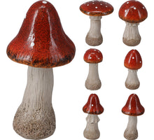 PADDENSTOEL POLYRESIN D7 H17CM 6 ASSORTIE