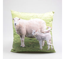 BUITENKUSSEN SCHAPEN 45X45 CM