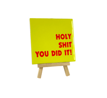 Tegeltje - Holy shit you did it - 11x11cm