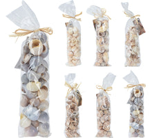 SCHELPEN DECO IN BAG 6 ASSORTIE 35X9X6CM