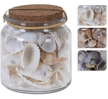 SHELL DECORATION IN GLASS JAR D10 H10CM 3 ASSORTED