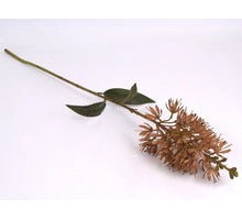 Eucomis spray yellow 78cm