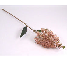 Eucomis spray pink 78cm