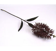 Eucomis spray purple 78cm