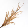 Boston Fern Bundle Beige 116cm