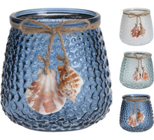Tealight holder with shell D14 H10cm 3 assorted colors