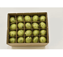 Quail eggs mossgreen 60pcs