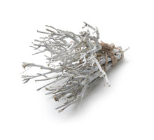 John branch ±35cm frosted white 500g