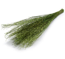 Sarash bunch ±110cm 250g applegreen