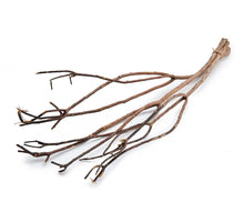 Dragon willow ±110cm natural 3pcs