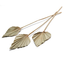 Palm spear natural 10pcs