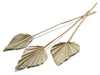 Palm spear natural 10pcs