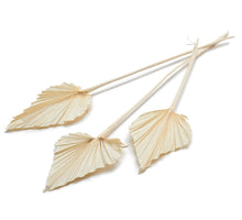Palm spear bleached 10pcs