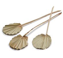 Palm spear round natural 10pcs