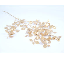 Lunaria gold 90cm
