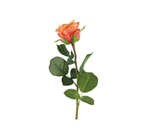 Rosa L70cm Zalm/Oranje
