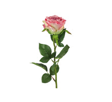 Rosa L70cm Roze