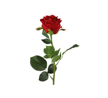 Rosa L70cm Rood