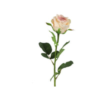 Rosa L70cm L.Roze