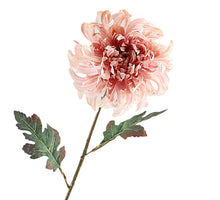 Crysanthemum Dried 68cm  Pink