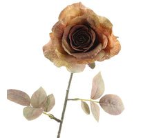 Rosa Dried 67cm Brown