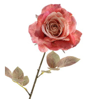 Rosa Dried 67cm Pink
