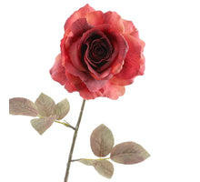 Rosa Dried 67cm Red
