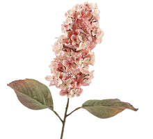 Cone Hydrangea Dried 66cm Pink