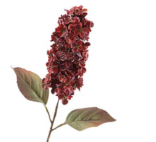 Cone Hydrangea Dried 66cm Red