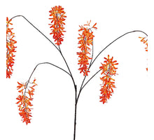 Lilium Hanging Spray 105cm Orange