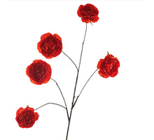 Cabbage Rosa Spray 112cm Orange