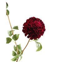 Dahlia Spray 111cm Burgundy
