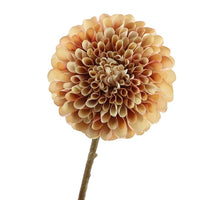 Dahlia 65cm Brown/Pink
