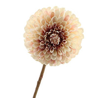 Dahlia 65cm Cream/Pink